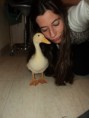 /album/fotogaleria-patito/dsc03112-jpg/